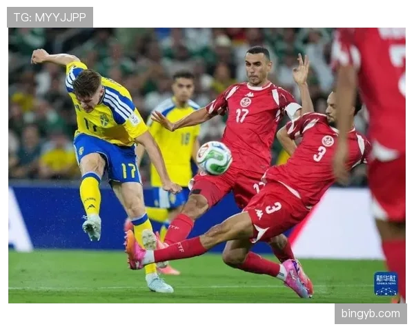 突尼斯F组赛前观察报告